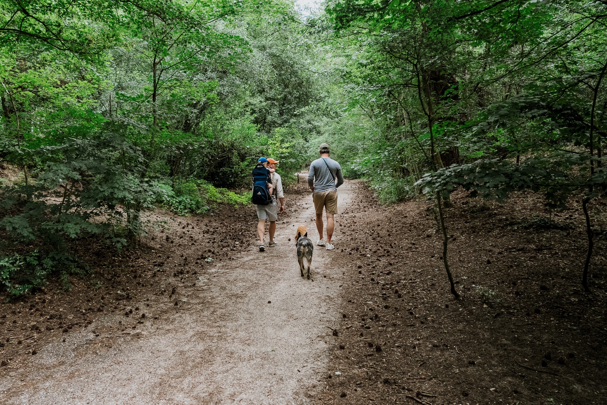 Caprera wandelpark is een losloopgebied voor honden