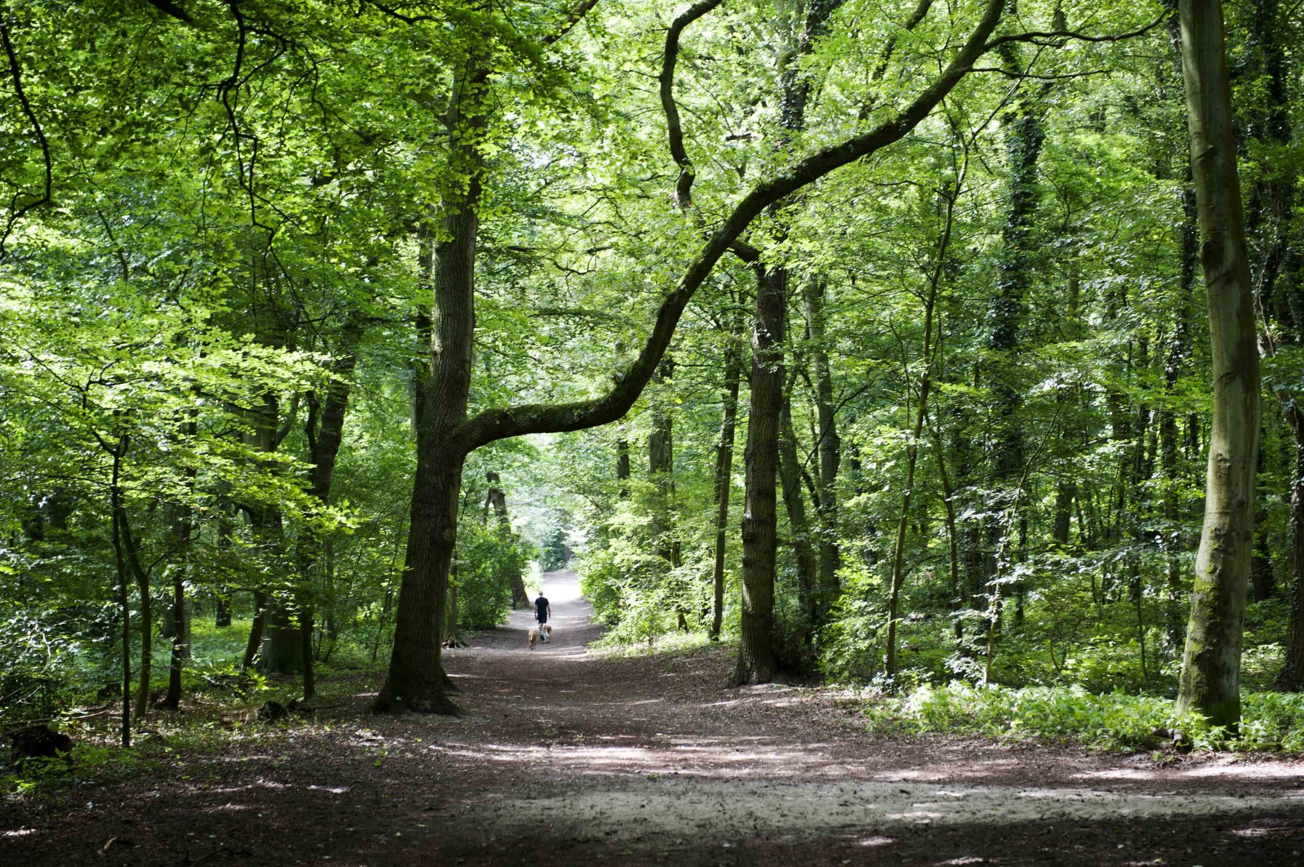 Kom wandelen in Caprera in de lente
