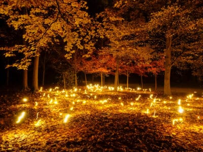 Licht Festival Caprera