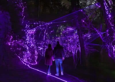 Licht Festival Caprera