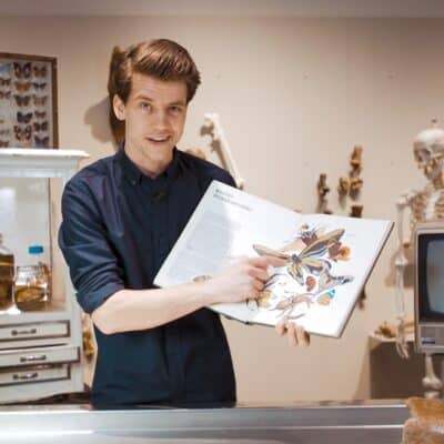 Mátyás Bittenbinder