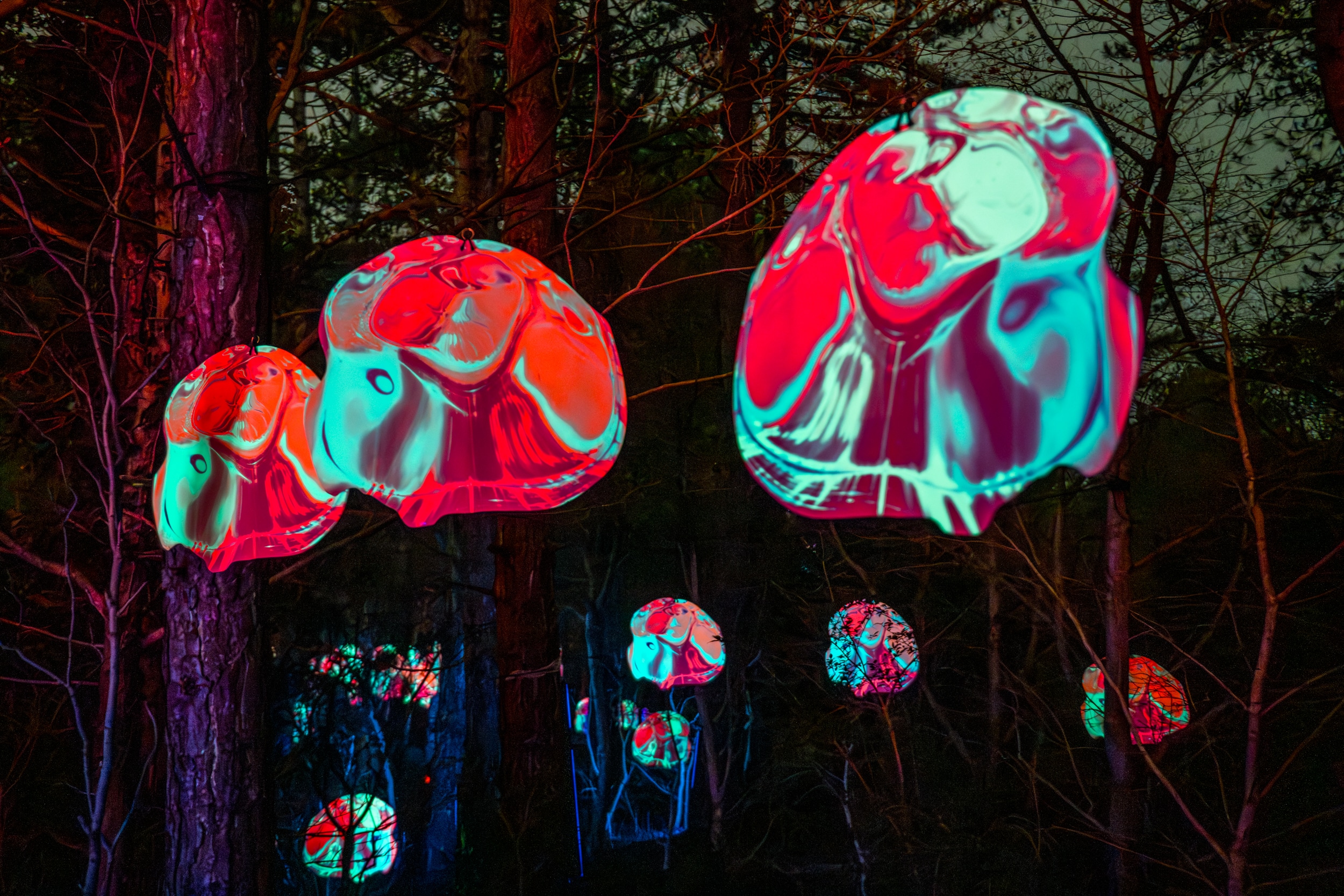 Lichtkunstwerk Supernova#3 van Collectief Sculptor Void, Licht Festival Caprera 2026