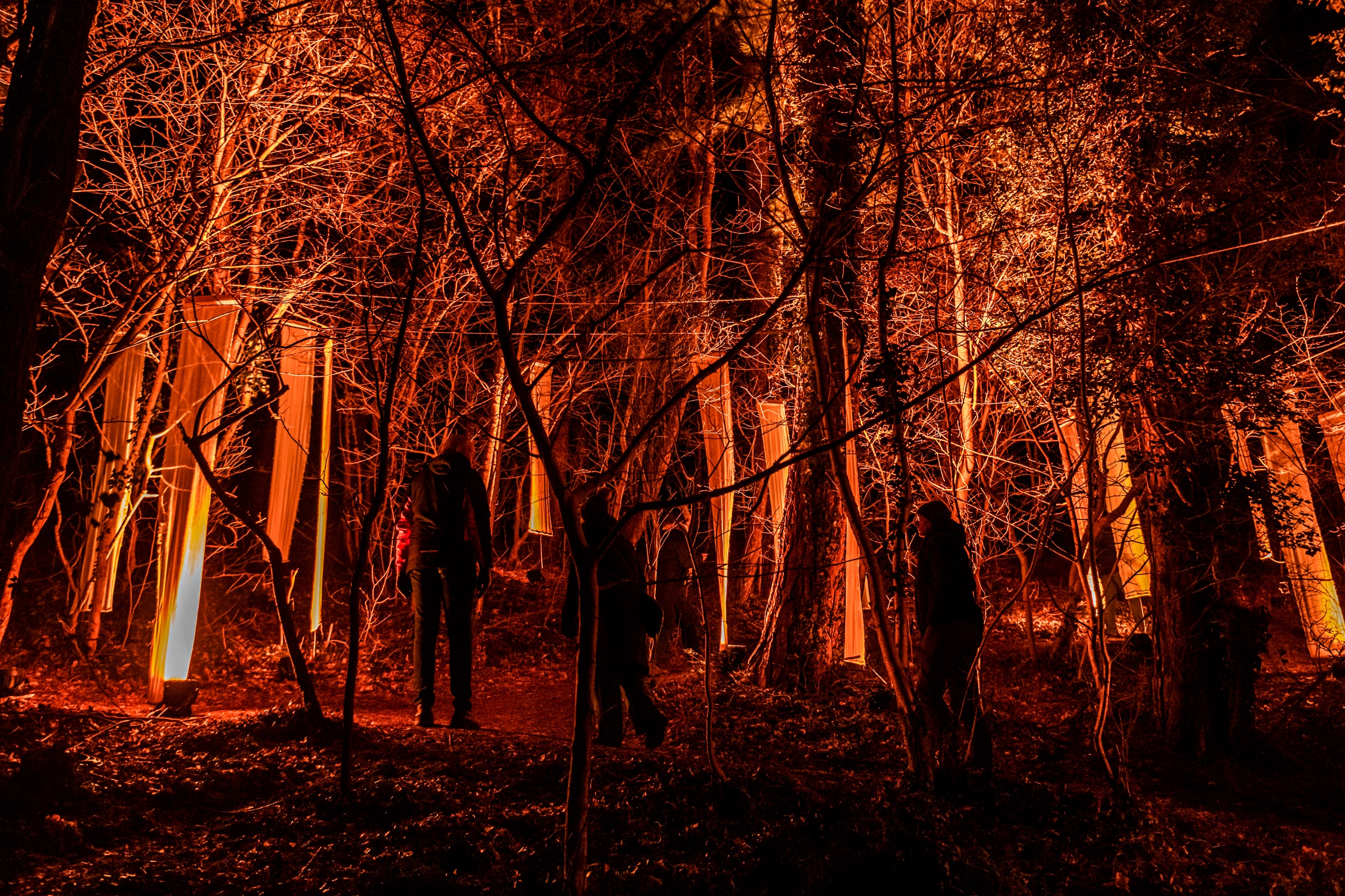 Lichtkunstwerk Het Doek Gaat Op Licht Festival Caprera 2026