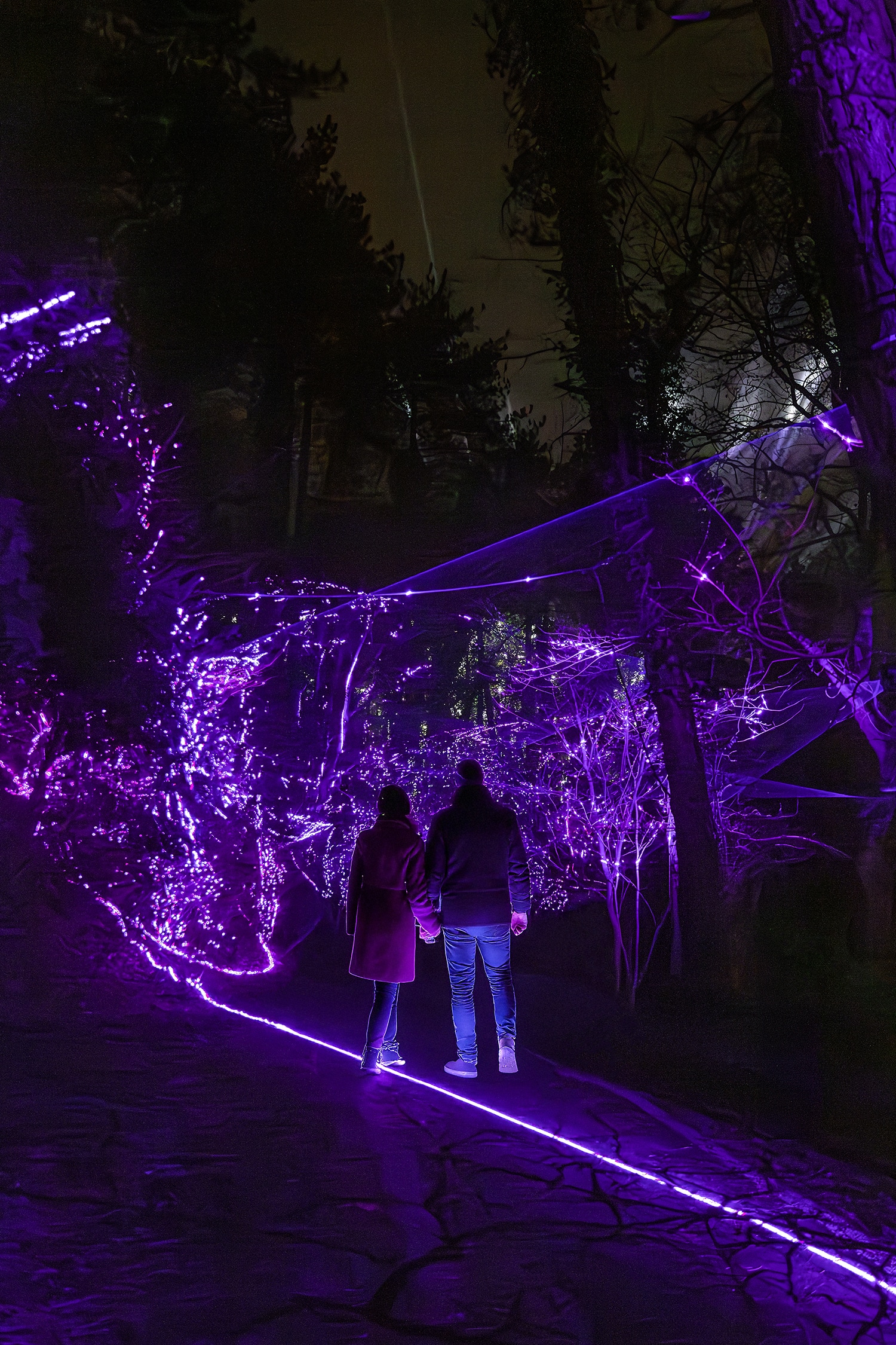 Lichtkunstwerk Electric Jungle van Wouter Brave, Licht Festival Caprera 2026