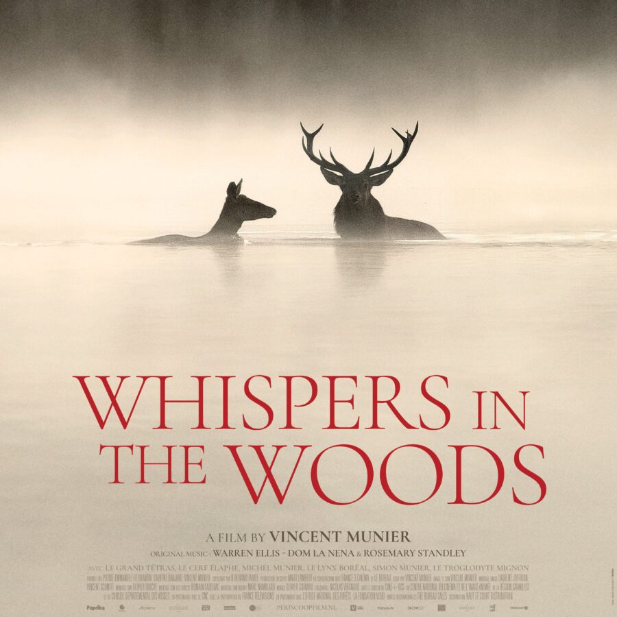 Cinema Caprera: Whispers in the woods