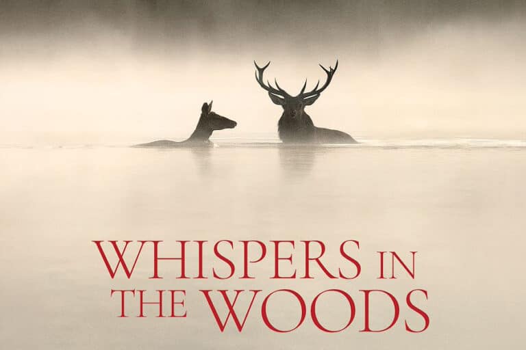 Cinema Caprera: Whispers in the woods