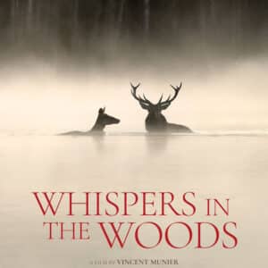 Cinema Caprera: Whispers in the woods