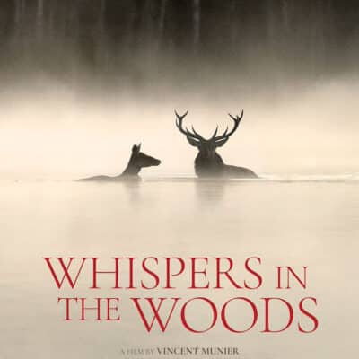 Cinema Caprera: Whispers in the woods