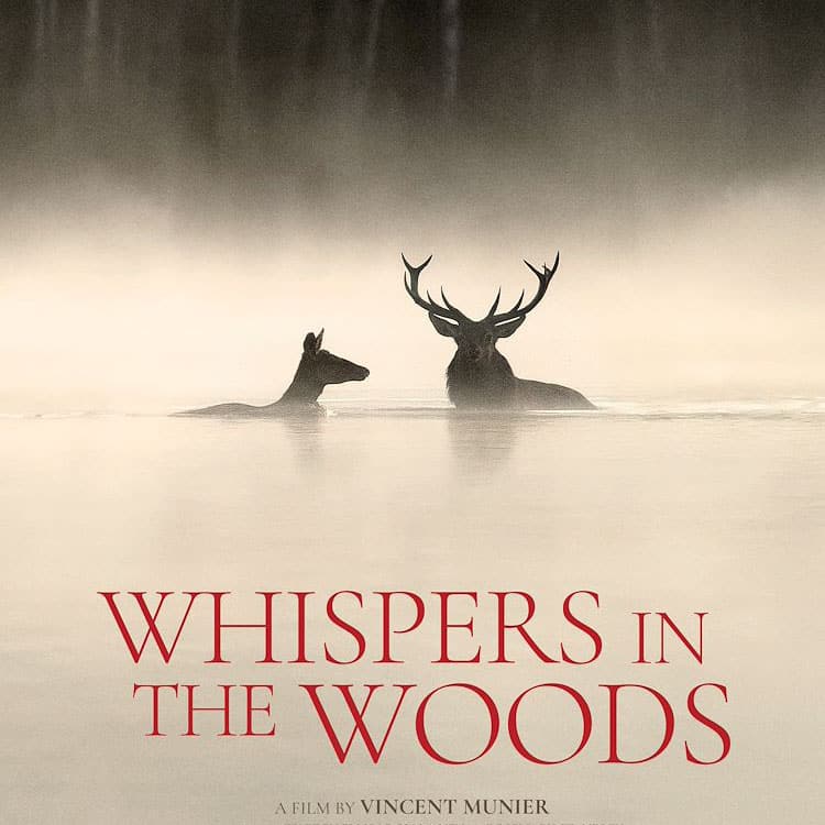 Cinema Caprera: Whispers in the woods